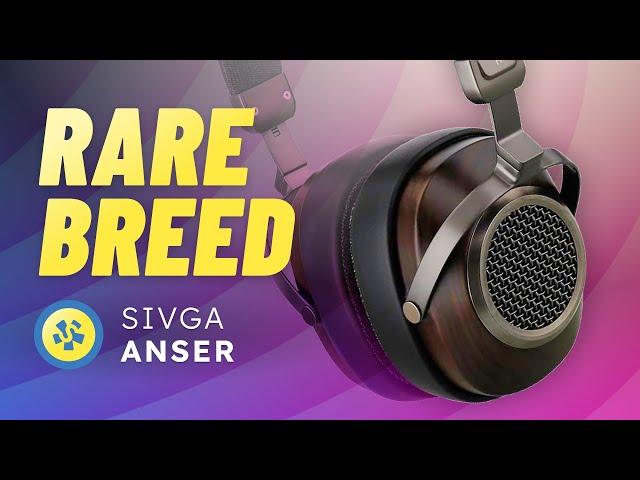 Open-back  Bassy  Sivga Anser REVIEW