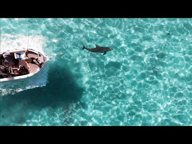 BIG FISH, BIG SCENES - FOUR BLOKES LIVING THE DREAM