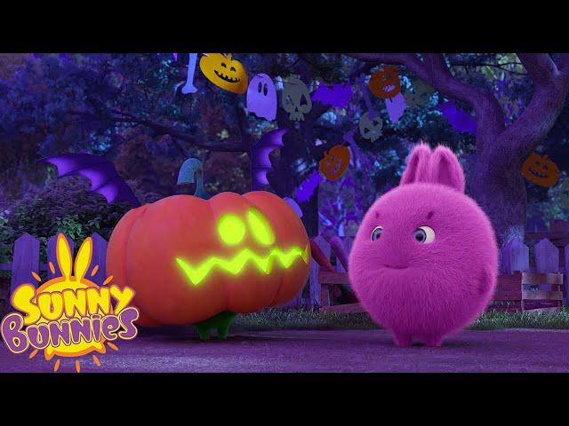 Spooky Pumpkin  Happy Halloween | SUNNY BUNNIES | Funny Cartoons For Children