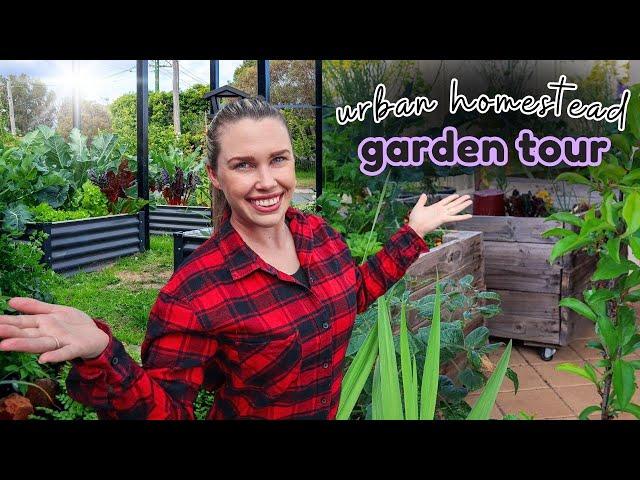 High-density URBAN GARDEN TOUR - 50+ fruit trees on 720sqm!