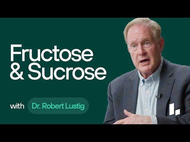 Sugar, Fructose, Sucrose, and Glucose | Dr. Robert Lustig