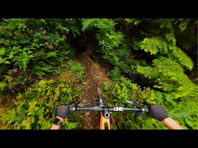 Dirt Surfing into the Jungle!