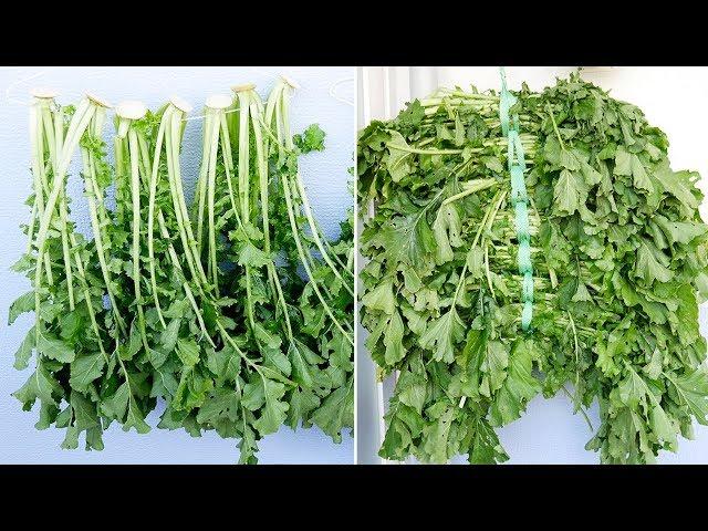 김장때 남은 무잎 활용/시래기 말리기 ( Dried radish greens )