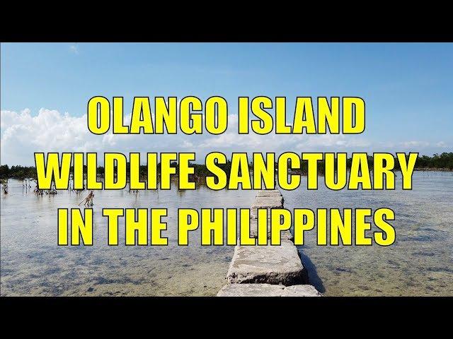 Olango Island Wildlife Sanctuary In The Philippines.