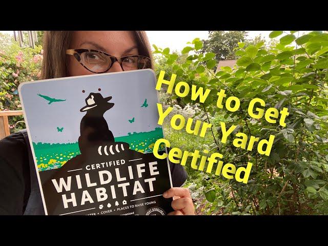 How Your Yard Can Be a Certified Wildlife Habitat & Why It’s Important to Do So