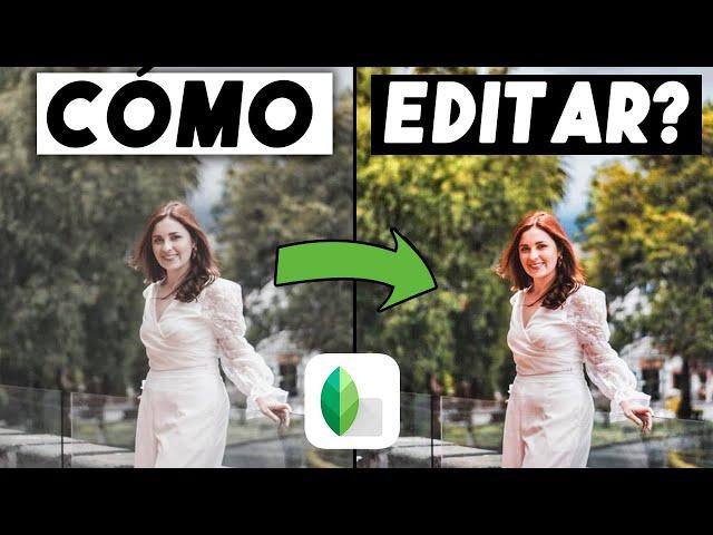 Como EDITAR FOTOS en SNAPSEED? (Pt1) / Tutorial Snapseed Parte 1