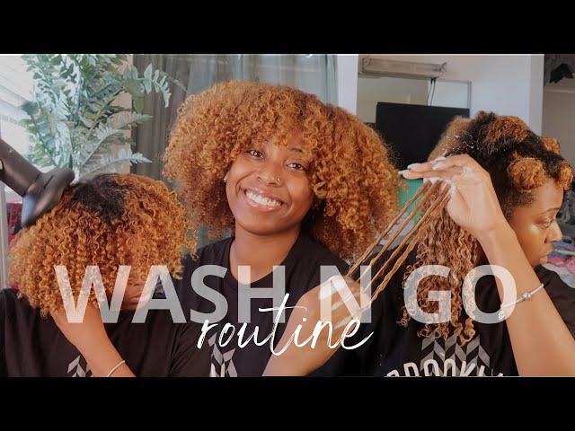 Updated Winter Wash N Go Tutorial | 3c/4a Natural Hair | Mia Ashanti 