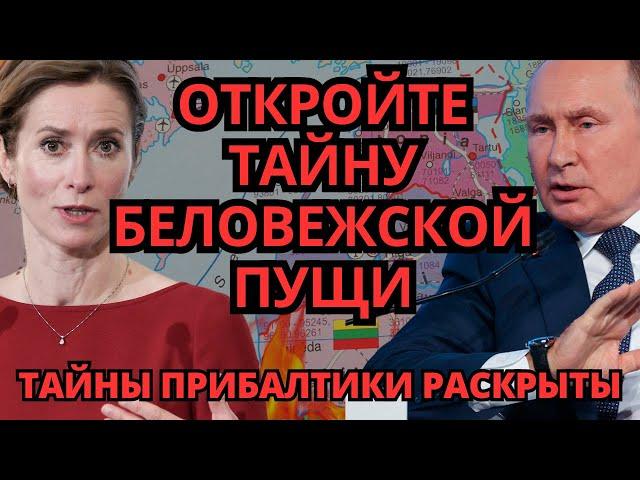 ШОК в Прибалтике! – Экономика рушит барьеры, никто не ожидал такого поворота.