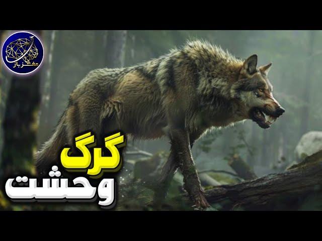 گرگ وحشت، وحشی ترین و کشنده ترین سگ سان منقرض شده