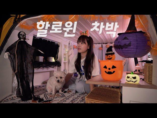 We have Halloween car camping in our own camper van. Solo camping with a cute dog.