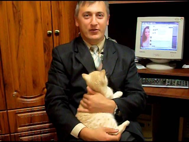 Трейлер