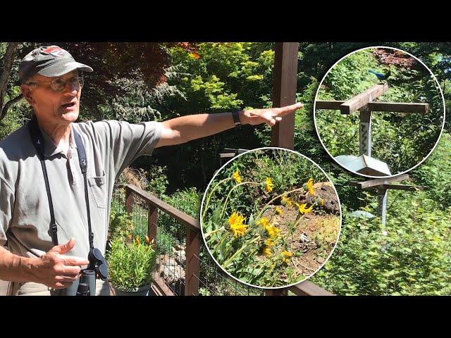 Gardening for Birds with Bill Proebsting