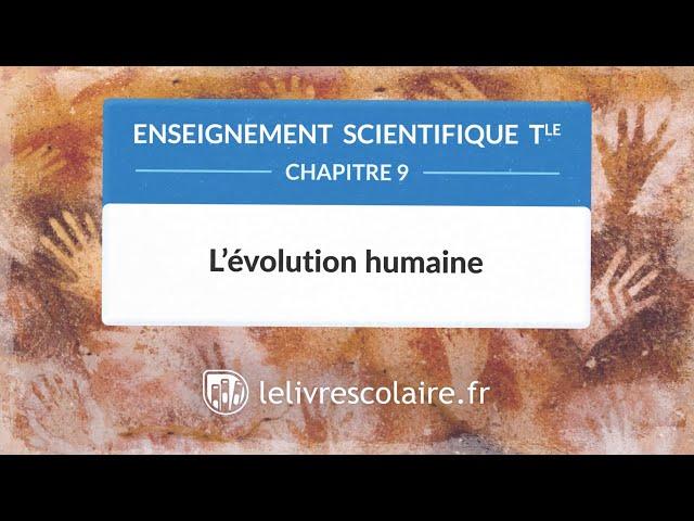 L'évolution humaine (Enseignement scientifique Tle)