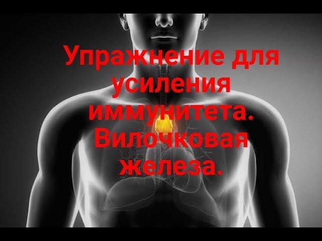 Упражнение для усиления иммунитета. Вилочковая железа.
