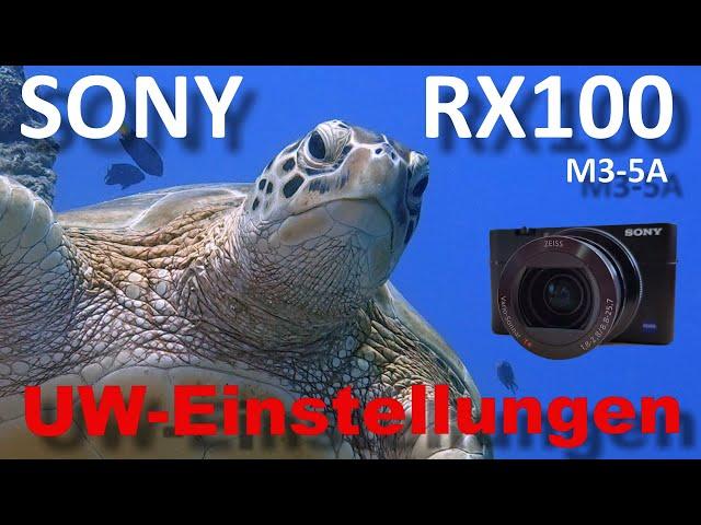 Sony RX100M5A / RX-100 Mark VA - Unterwasser Fotografie und Video - meine Einstellungen