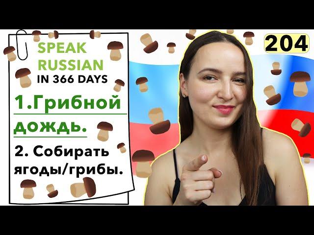 DAY #204 OUT OF 366  | SPEAK RUSSIAN IN 1 YEAR