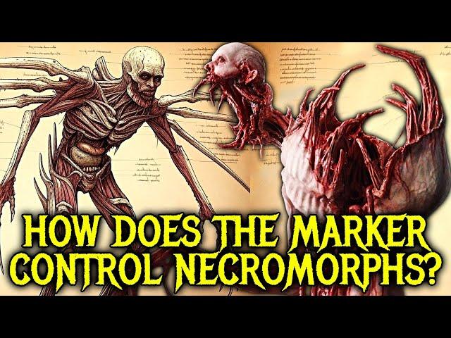 Necromorphs Anatomy Explored - How Intelligent Are Necromorph? How Can You Stop Necromorph Epidemic?