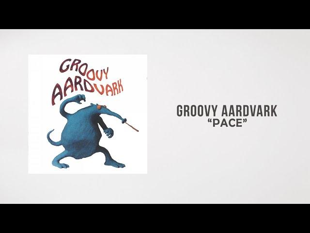 Groovy Aardvark - Pace (Lyrics Video)