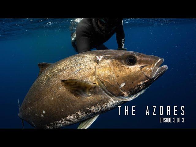 Secret Pinnacle in "The Azores" Things go wrong while Spearfishing Big Almaco Jack!