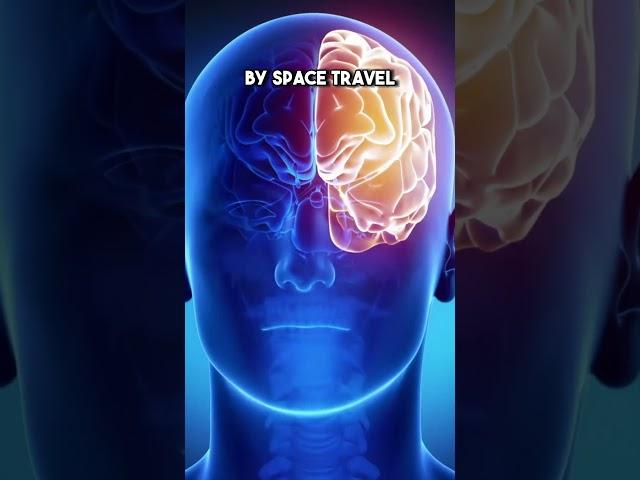 The Neuroscience of Space Travel: How It Impacts Our Brains!