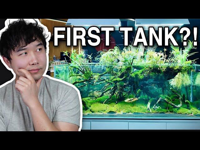 Fishkeeper stunned by BEGINNER'S FIRST TANK | Fish Tank Review 288