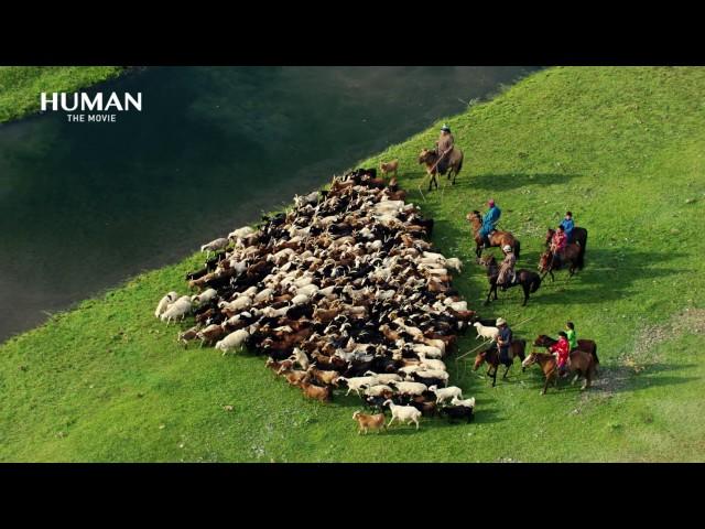 Aerial shooting : Steppes (Mongolia)