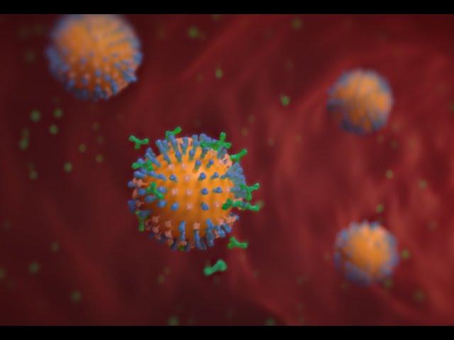 Developing a Universal Flu Vaccine
