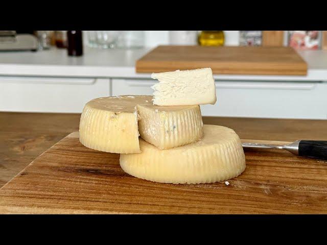 How to Make CHEESE at Home 