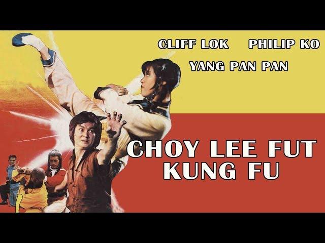 Wu Tang Collection - Choy Lee Fut Kung Fu