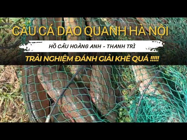 Kiếm giải sộp ở hồ câu HOÀNG ANH THANH TRÌ mà khê quá, mỗi...11 con - Tân "khẹc" câu cá dạo HÀ NỘI