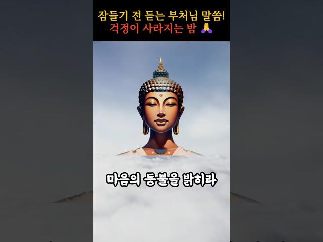 잠들기 전 1분, 부처님 말씀으로 걱정 내려놓기  #명상 #부처님