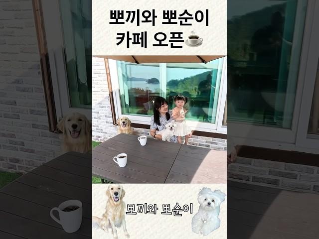 뽀끼와 뽀순이 카페 오픈!!! 구독자님들은 공짜