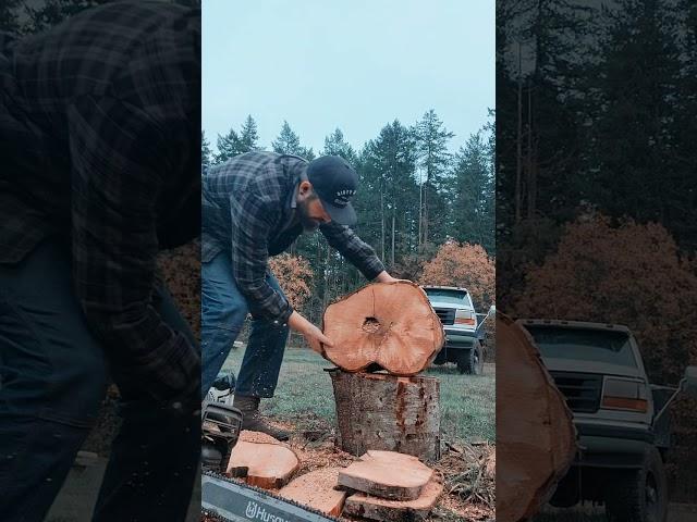 Ported Stihl 462C vs Husqvarna 572xp