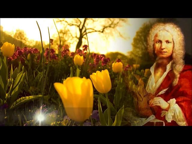 Vier Jahreszeiten Komplette Vivaldi Frühling, Sommer, Herbst, Winter Habe Ich Klassische Musik Violi