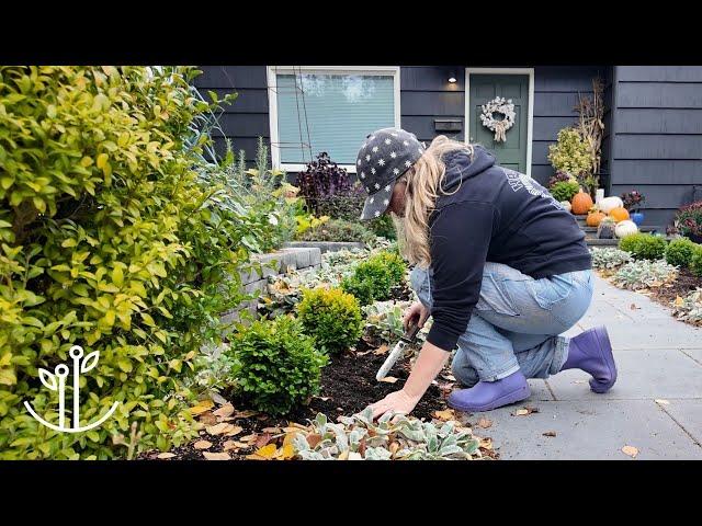 Planting The Most ADORABLE Mini White Daffodil + Propagating Rare Geranium Cuttings