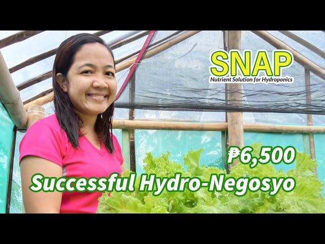 Beginner Success Story: Paano Magsimula ng Hydro-negosyo Gamit ang SNAP Hydroponics