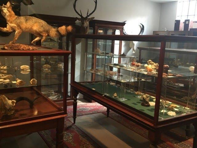 Wunderkammer (Central Melbourne)