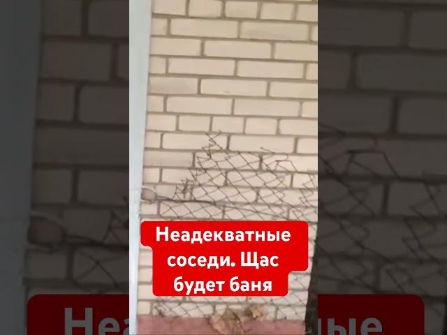 Неадекватная соседка препятствует установлению границ на местности