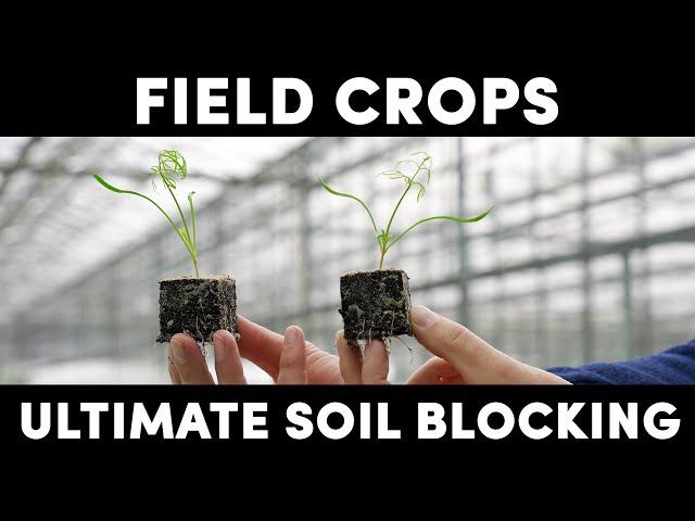 Soil Blocking automation: Flier Systems Ultimate Soil Blocking Line