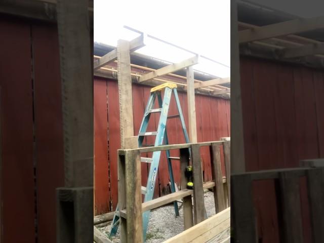 I’ve used a lot of scrap wood but my lean-to is ready for the roof #diy