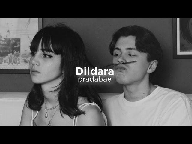 Dildara (slowed+reverb)