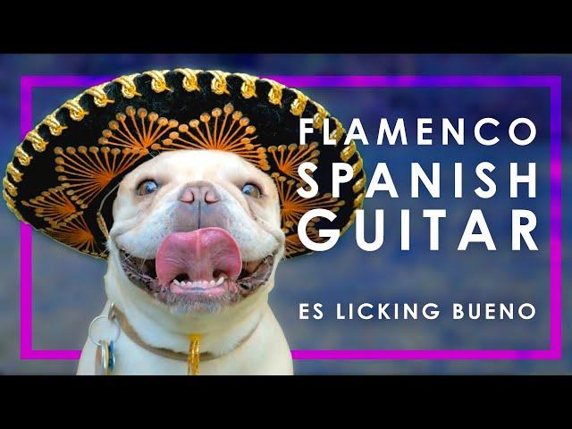 (9) HOUR FLAMENCO SPANISH GUITAR | RELAXING ACOUSTIC GUITAR INSTRUMENTAL MUSIC FOR STUDYING