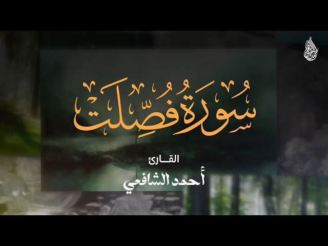 Surah Fussilat - Ahmed Alshafey | سورة فصلت القارئ أحمد الشافعي