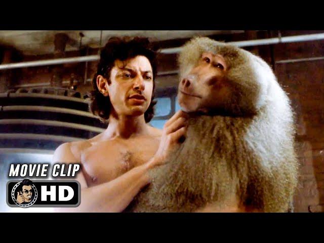 THE FLY Clip - "Teleportation Successful" (1986) Jeff Goldblum