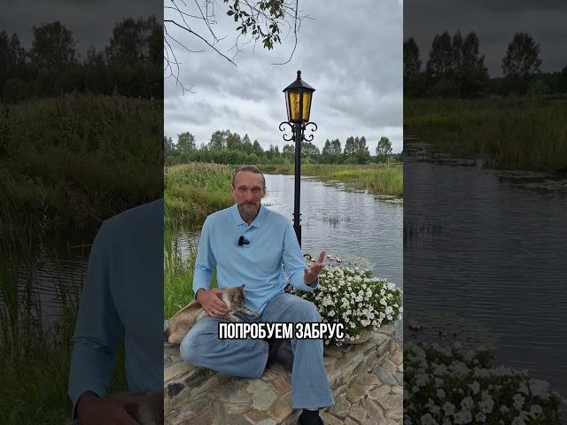 Пасека.День открытых дверей.