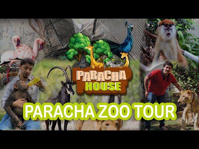  Paracha Zoo Tour |  Exploring Paracha Zoo's Exotic Animals  | SR Breeding Farm 