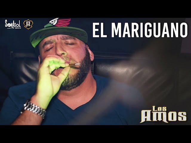 Los Amos - El Mariguano (Video Oficial)