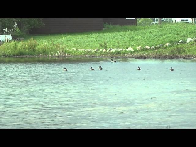 Center Dedicated to Caring for Grand Traverse Bay's Watershed