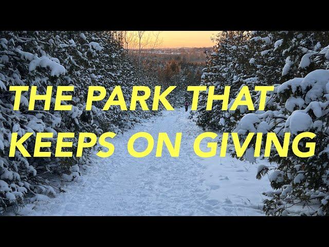 Peterborough’s BEST Park: Harold Town Conservation Area