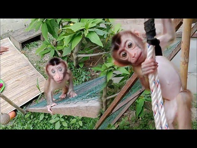 amazingSuper plush baby monkey MOBI